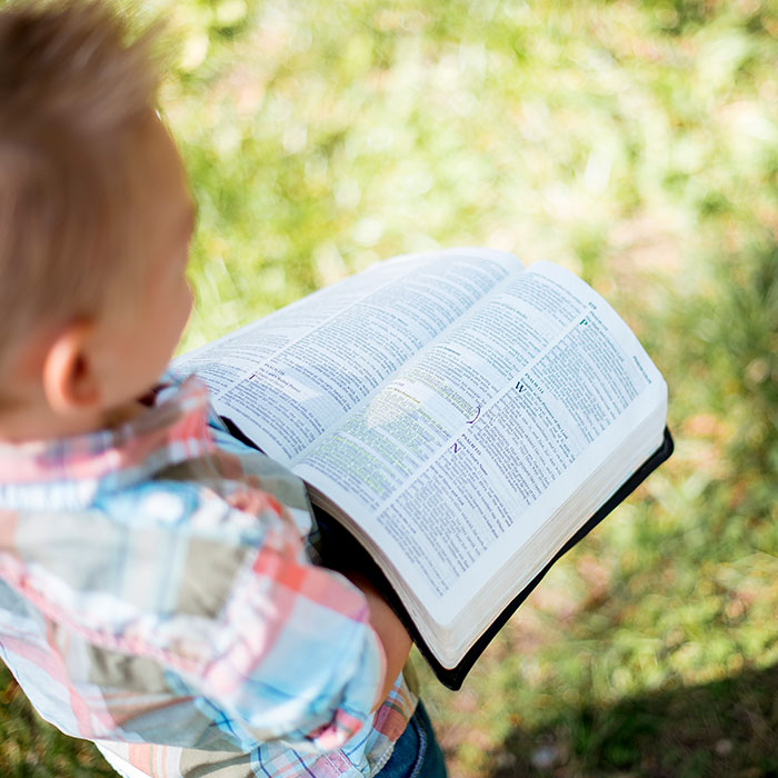 Child holding Bible