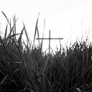 Cross in field