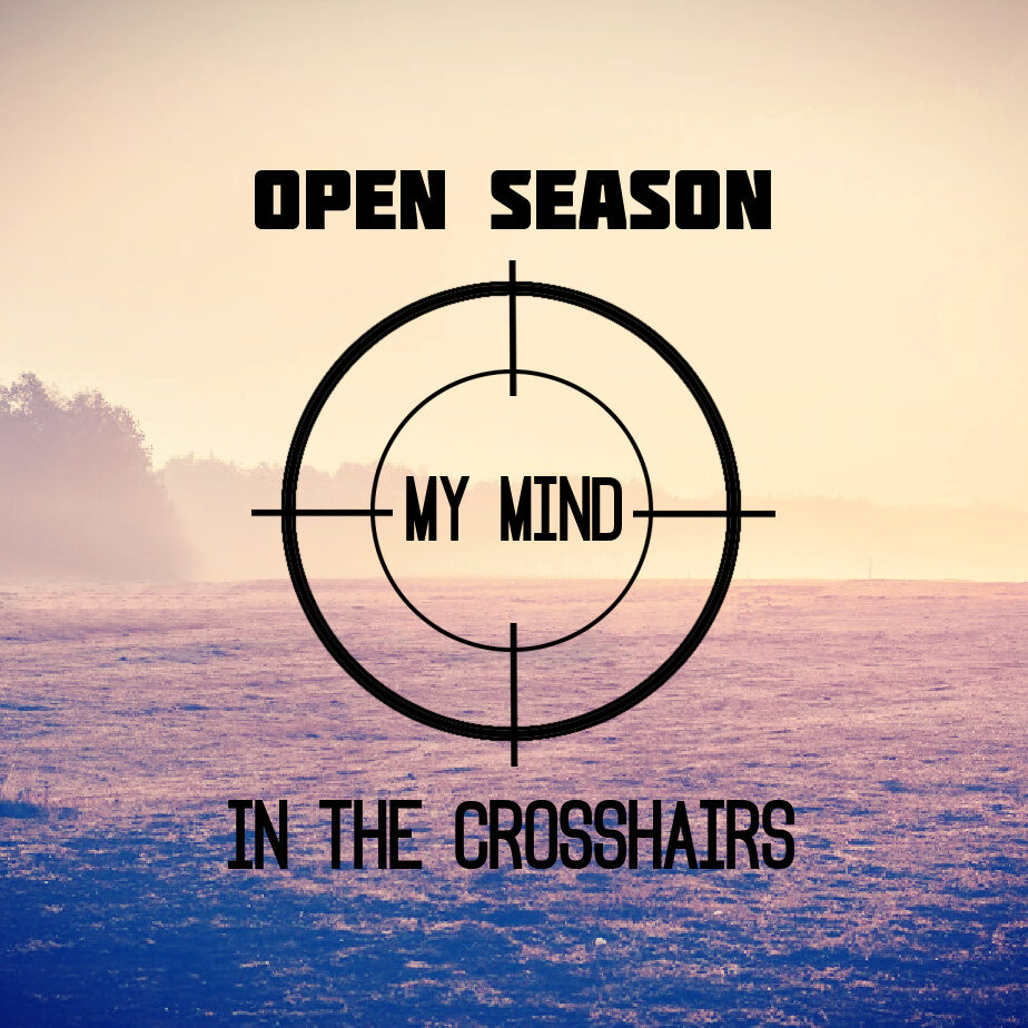My Mind and Attitude in the Crosshairs